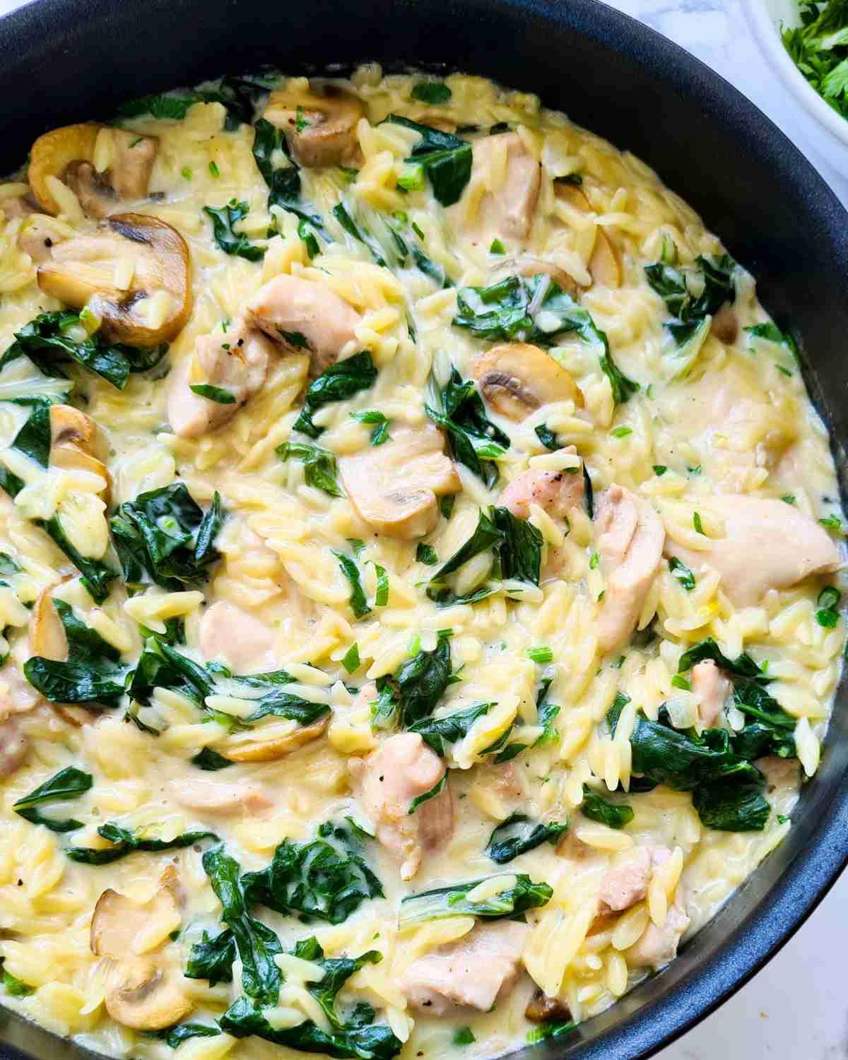 Close up of creamy orzo with chicken, mushrooms and spinach