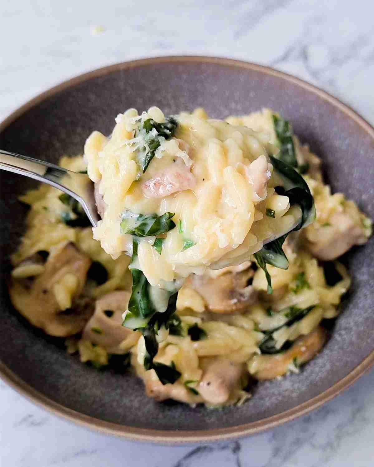 A heaped spoonful of creamy pasta over a bowl