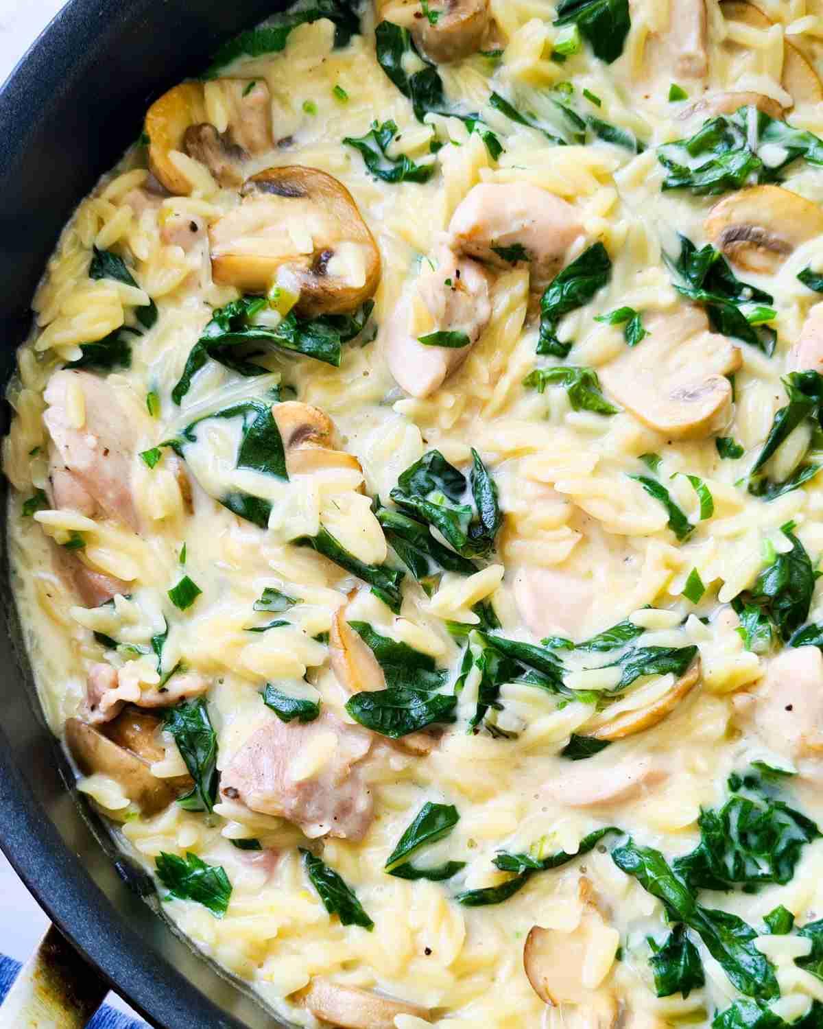 Close up of a pan of of creamy chicken orzo pasta, silverbeet and mushrooms