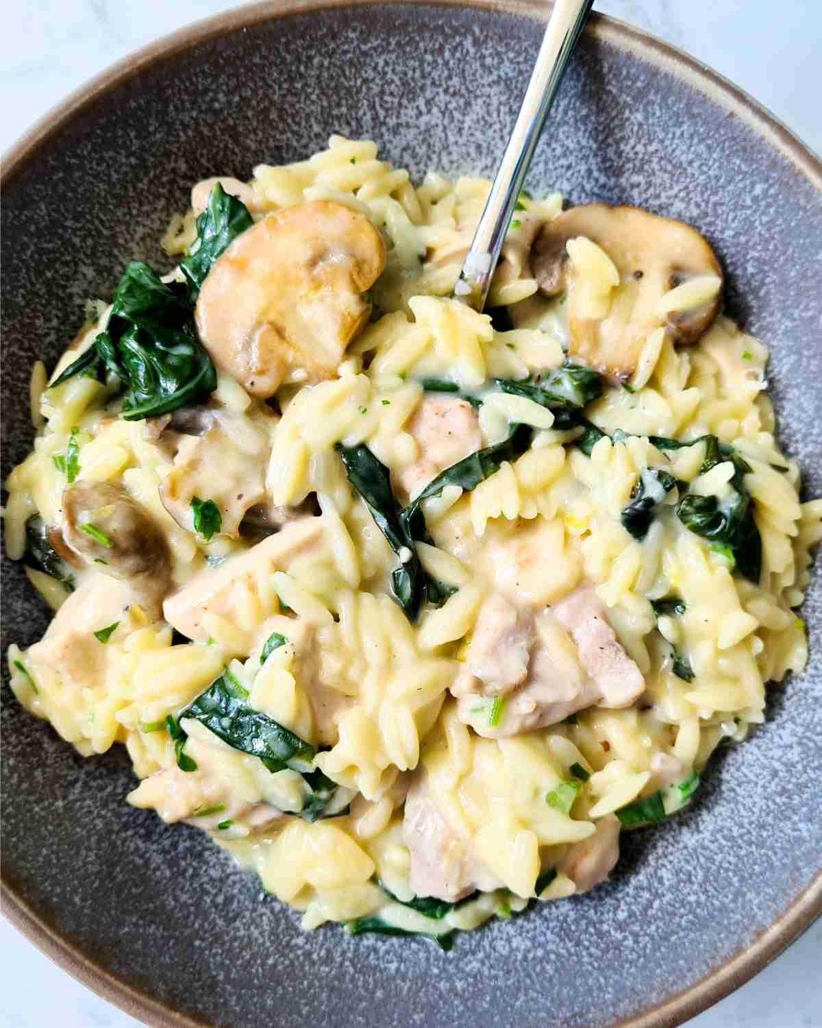 Close up bowl of creamy chicken orzo with a spoon