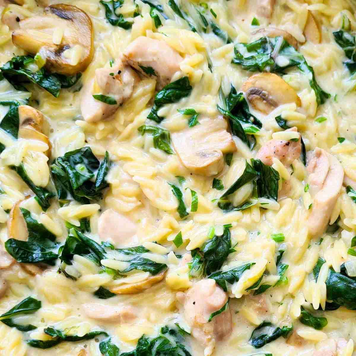 Kremalı Tavuk Orzo